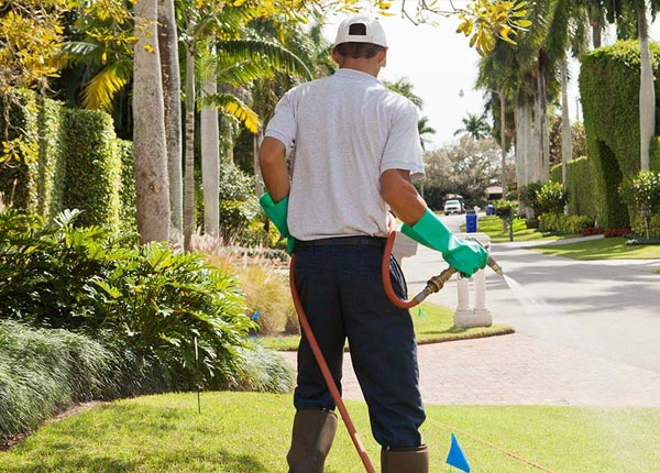 About Sun Valley AZ Pest Control